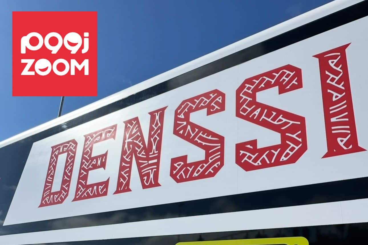 DENSSI & ZOOM LOGO